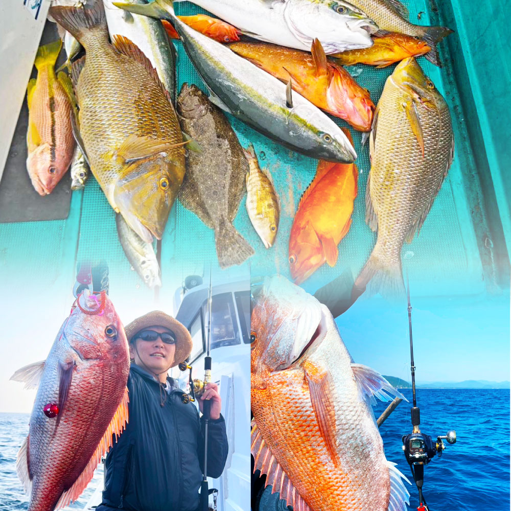 Gokuevolution CSL 225L/225M